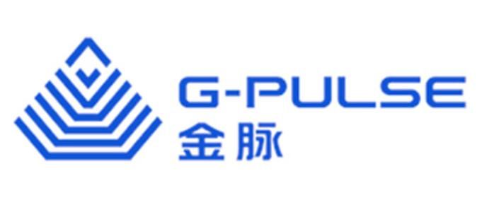 Производитель системы управления батареями G Pulse
